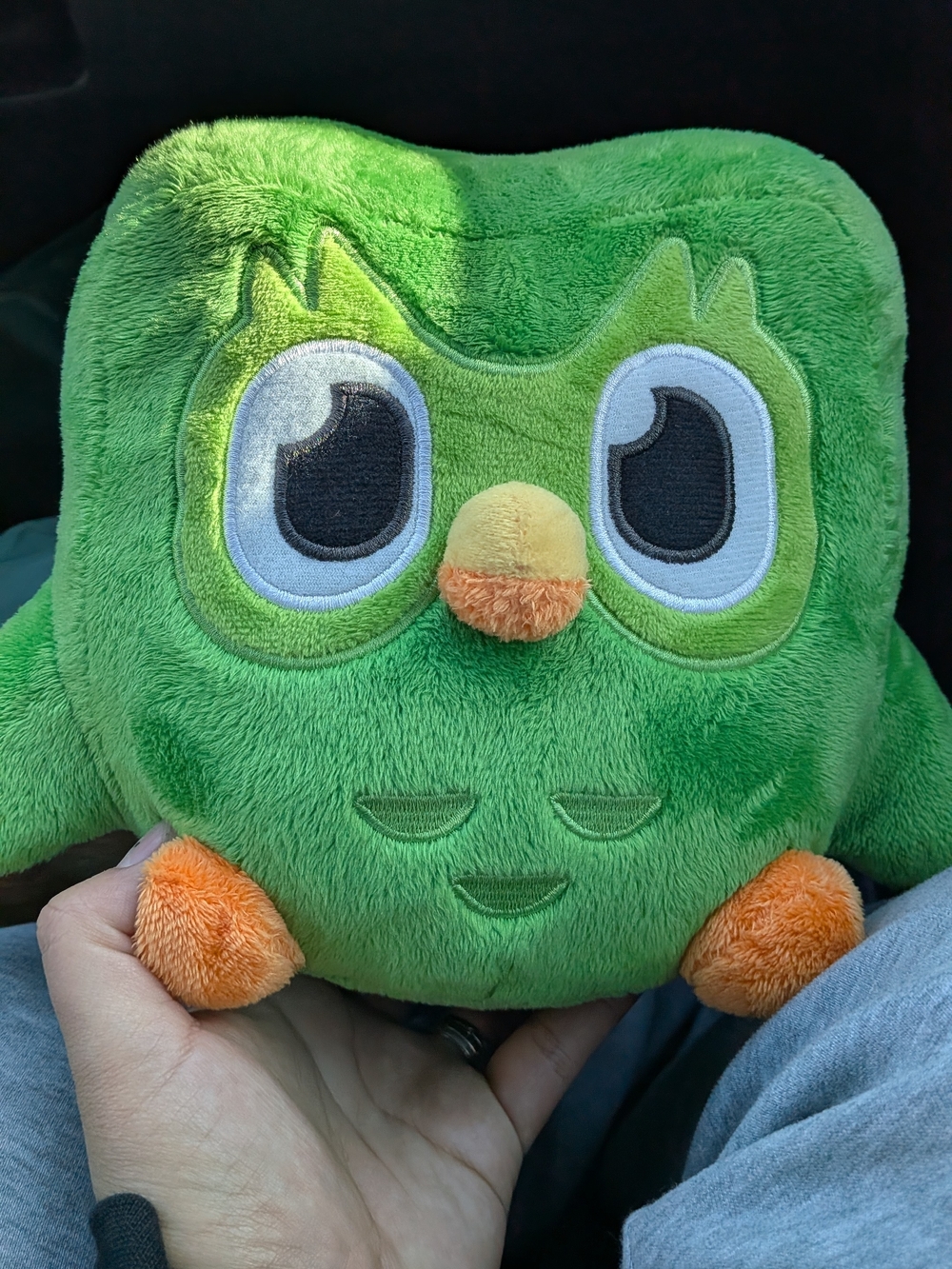 Duolingo Green Owl Plush Pillow with Orange Accents